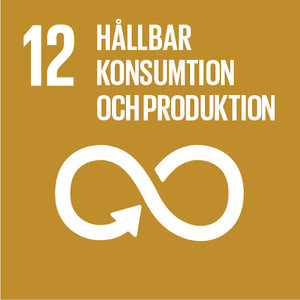Globalt mål 12: Hållbar konsumtion och produktion