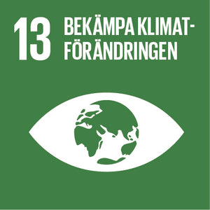 Globalt mål 13: Bekämpa klimatförändringarna