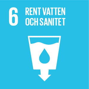 Globalt mål 6: Rent vatten och sanitet